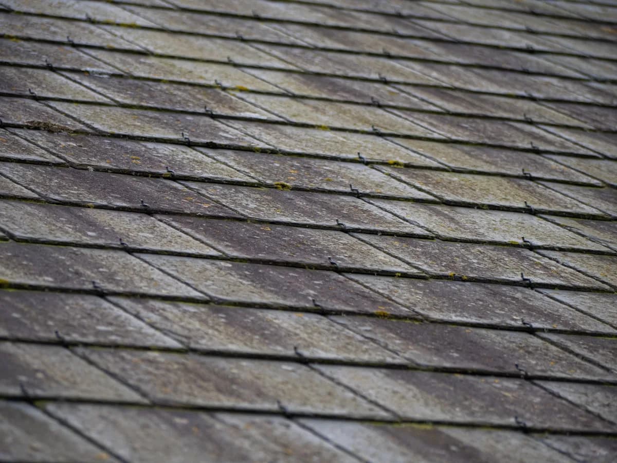 Weathered, curling wood shakes before tear-off