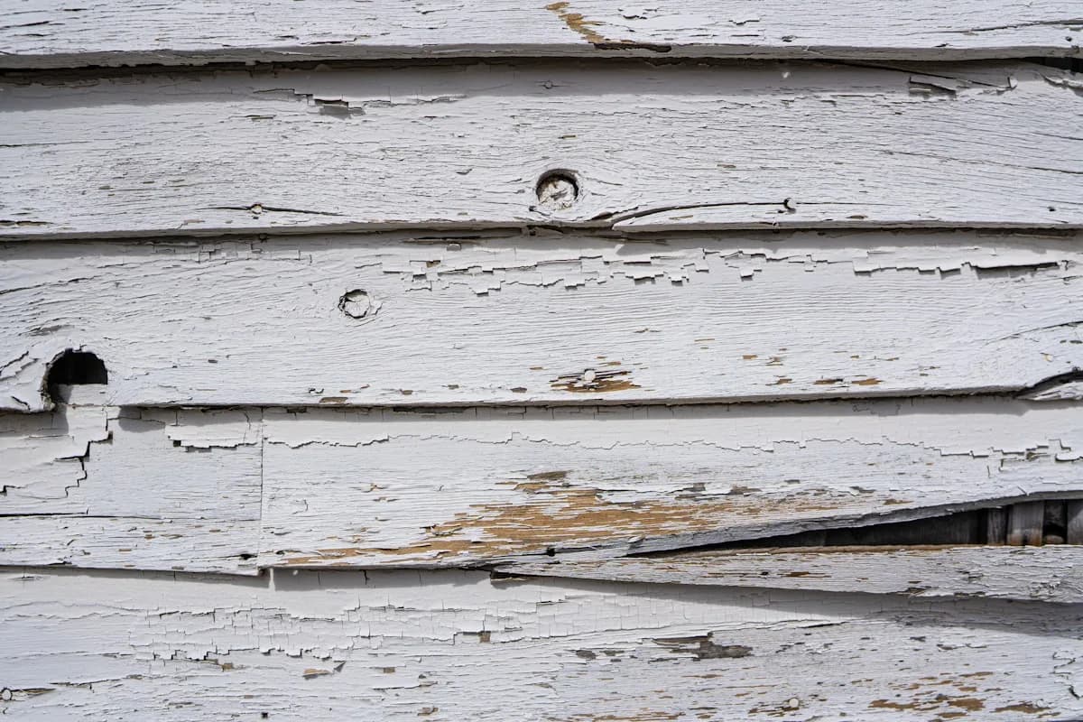 Cracked lap siding with paint peeling off the face
